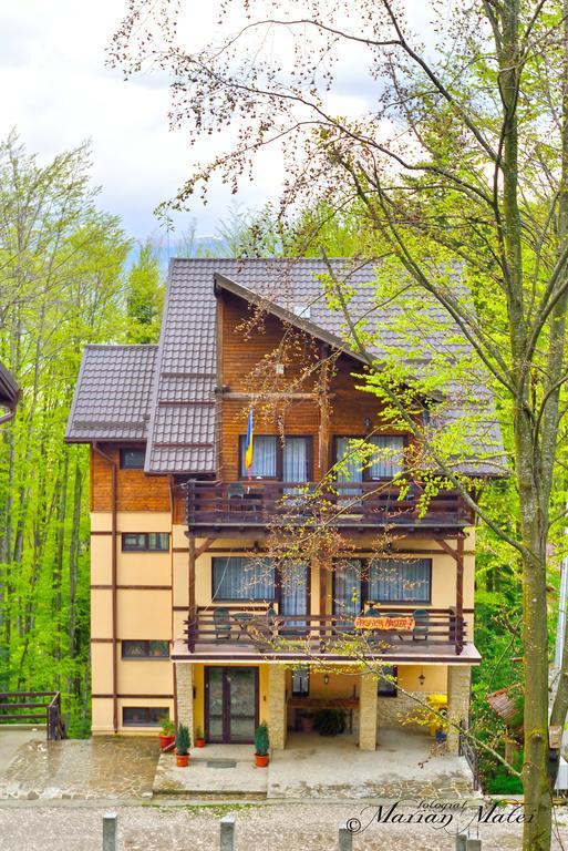 Pension Master Sinaia Exteriör bild