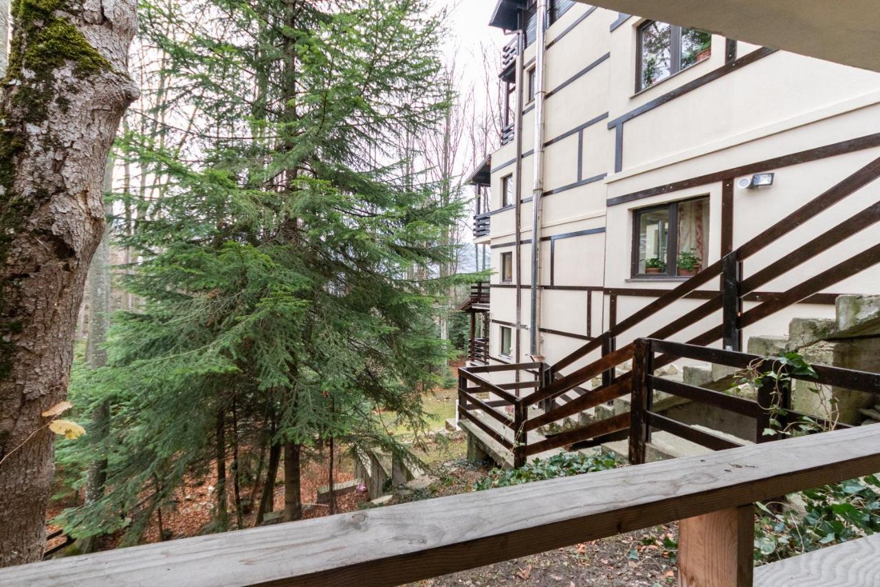Pension Master Sinaia Exteriör bild