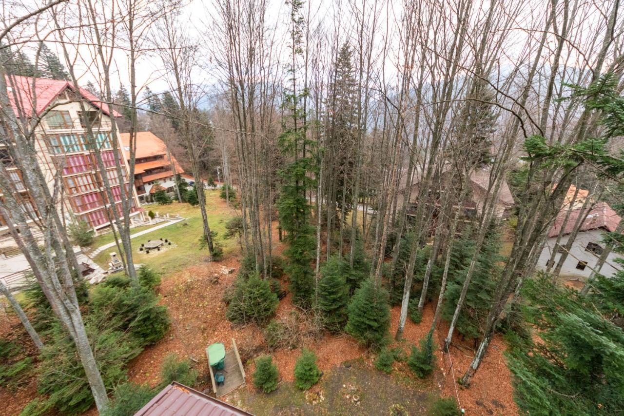 Pension Master Sinaia Exteriör bild